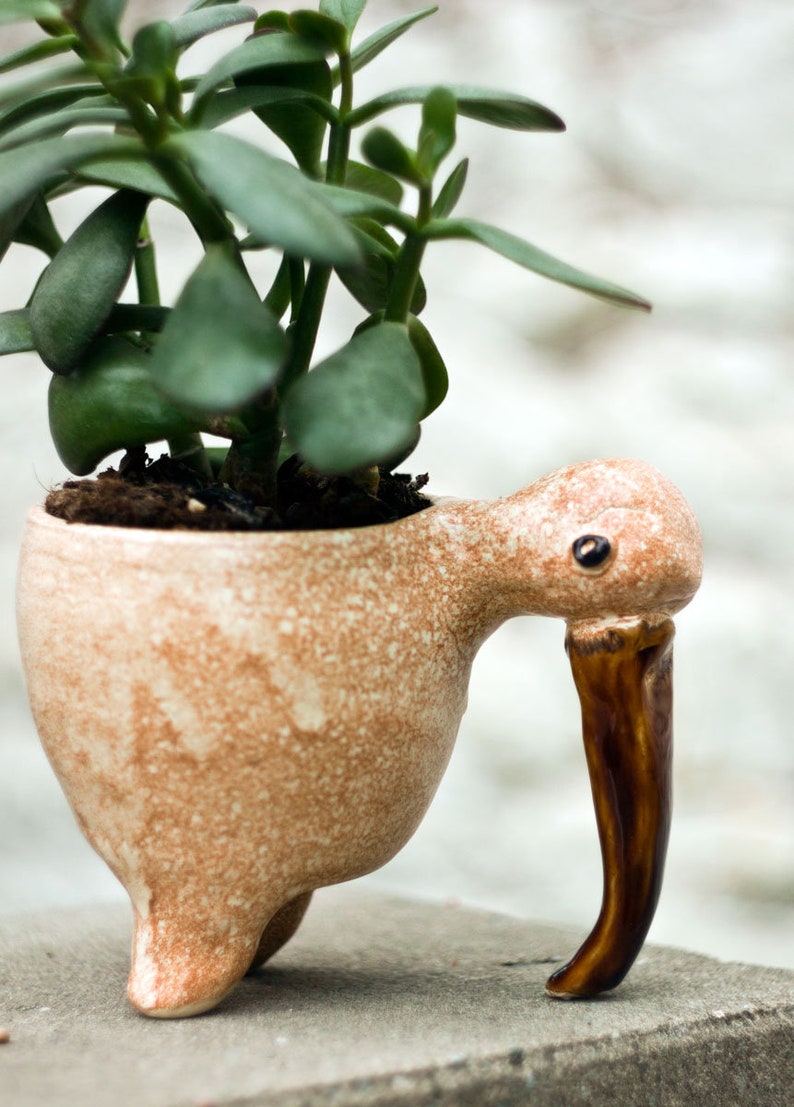 Bird planter, Ceramic succulent pot, Cute small plant pot, Home decor, Handmade flower pot for small house plants,Kiwi planter, Kiwi bird image 2