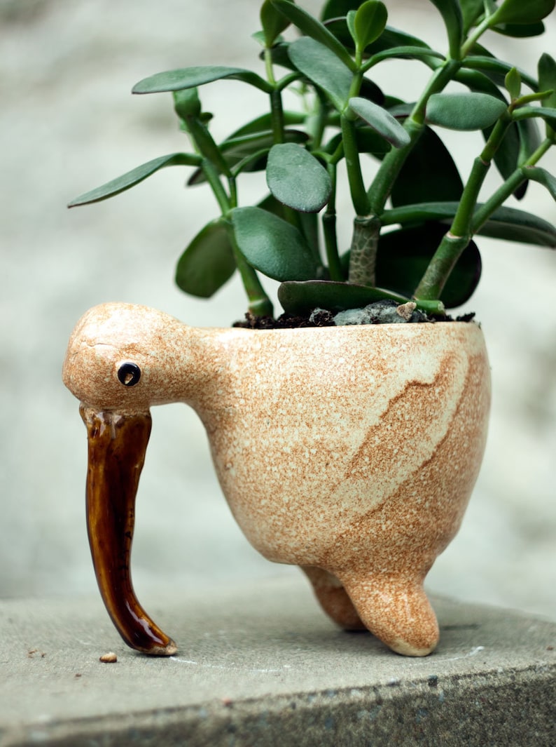 Bird planter, Ceramic succulent pot, Cute small plant pot, Home decor, Handmade flower pot for small house plants,Kiwi planter, Kiwi bird image 4