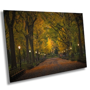 Central Park im Herbst, Landschaft, Fotografie Druck, New York Fotografie, Herbstlaub, New York Leinwand, Nee York City Foto