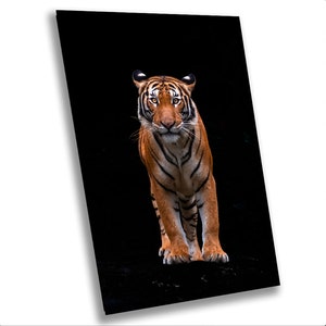 Tiger Photography Tiger Wall Art Home Decor Tiger Office Decor Colour Poster Print Tiger Living Room Wall Art Tiger Canvas Gift For Him