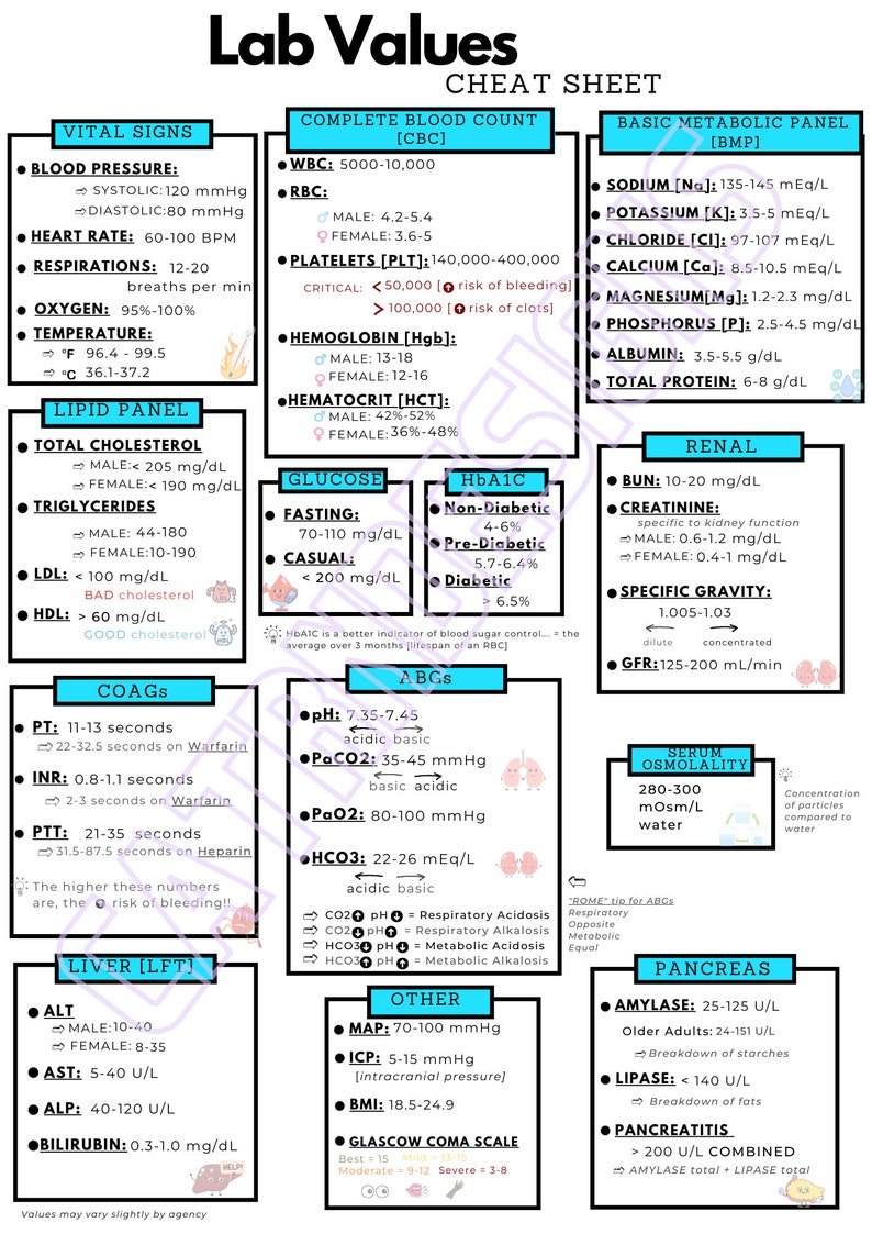 Lab Counts PDF INSTANT DOWNLOAD!, Nursing Lab Values, Nursing Student, Neon ...