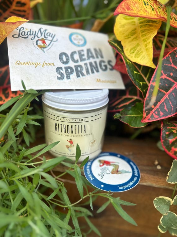 Clean-Burning Citronella, Tallow Beeswax Candle | Hand-Poured