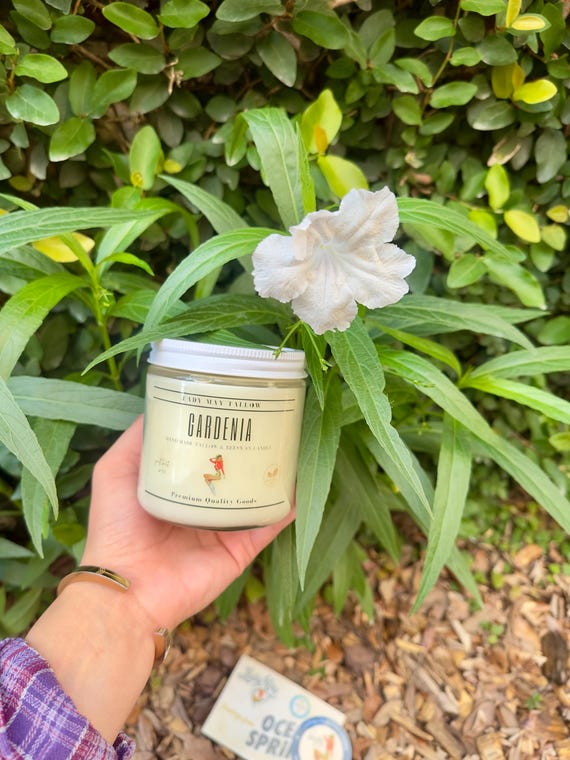 Clean-Burning Gardenia, Tallow & Beeswax Candle | Hand-Poured