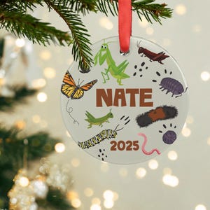 Personalized Bugs Acrylic Ornament, Custom Name, Bug Hunter Gift