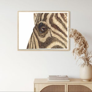 May include: Close-up of a zebra's face, showing its black and white stripes and a single eye.