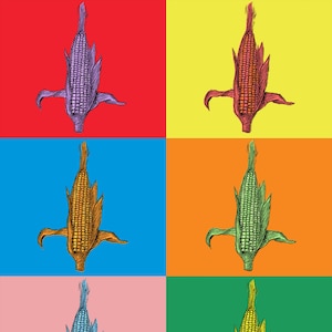 May include: Six illustrations of corn on the cob in a pop art style. Each corn cob is a different colour: purple, red, orange, green, blue, and yellow. The background is a grid of alternating red, yellow, blue, orange, pink, and green squares.