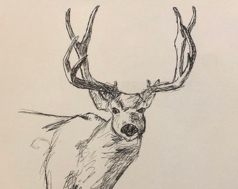 Stag Drawing by Zeller | original printable art digital download