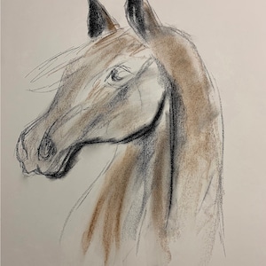 Horse Sketch by Zeller | original printable art digital download
