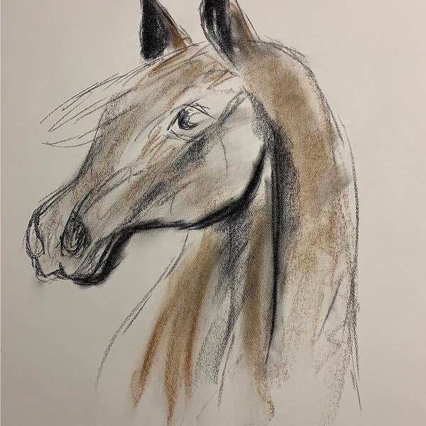 Horse Sketch by Zeller | original printable art digital download