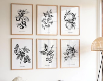 Botanische muurkunst set handgetekende zwart fruit illustratie voor keukendecor digitale download