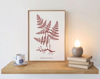 Moderne wanddecoratie varen karmozijnrode botanische tekening minimalistische print digitale download