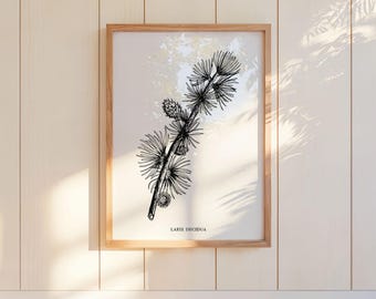 Home Wanddecoratie Lariks Zwarte Woud Botanische print Digitale download