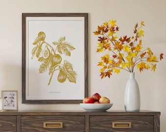Op de natuur geïnspireerde muurkunst vijg amber handgetekende fruitprint digitale download
