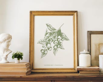 Modern interieur print bosbes salie groen minimalistische botanische muurkunst digitale download