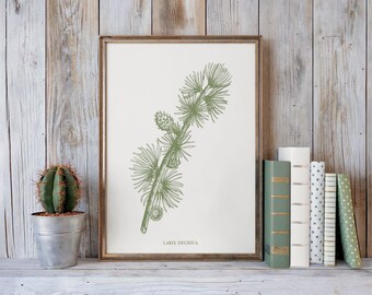 Moderne minimalistische muurkunst lariks salie groen botanische illustratie digitale download