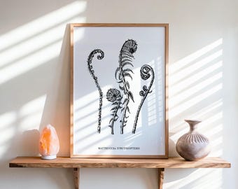 Natuurlijke Home Wall Decor struisvogel varen zwarte handgetekende botanische print digitale download