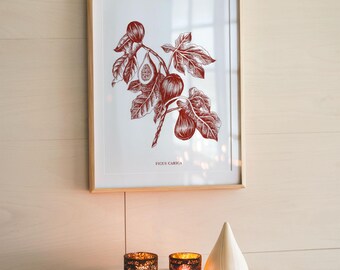 Botanische print vijg karmozijnrode illustratie rustieke fruit muurkunst digitale download