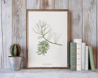 Moderne woonkamer kunst dennenappel salie groen minimalistische muur print digitale download