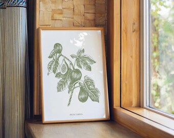 Minimalistische woondecoratie vijgsalie groen fruit illustratie muurkunst digitale download