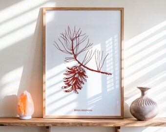Vintage botanische print dennenappel karmozijnrood natuur tekening interieur digitale download