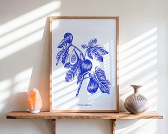 Vintage muurkunst vijg illustratie blauwe handgetekende fruitprint digitale download
