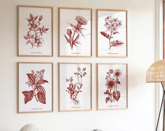 Wildflower muurkunst set handgetekende karmozijnrode botanische kunstwerken vintage boerderij digitale download