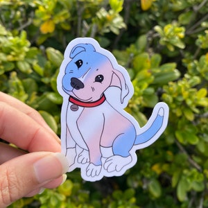 Queer Stickers, LGBTQ+ Pride Merch, Lesbian Sticker, Asexual, Nonbinary, Transgender, Bisexual, Bi Pride, Trans Pride, Queer Art