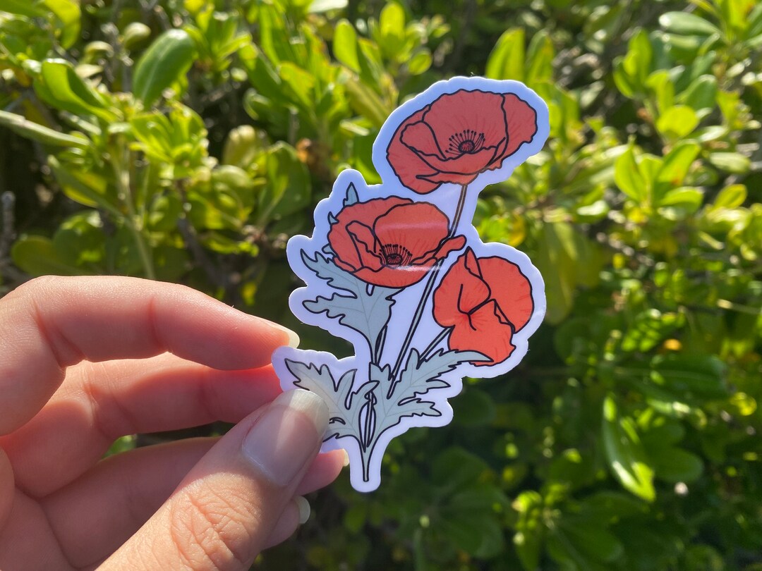 Flower Sticker, California Poppy Sticker, Die Cut Vinyl Sticker - Etsy