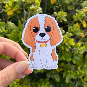 Pegatina de cachorro, pegatina de cavalier, pegatina de cavie, pegatina de vinilo troquelado