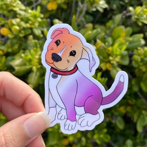 Queer Stickers, LGBTQ+ Pride Merch, Lesbian Sticker, Asexual, Nonbinary, Transgender, Bisexual, Bi Pride, Trans Pride, Queer Art, Lesbian
