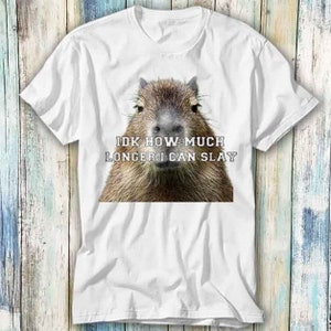 Idk How Much Longer I Can Slay Capybara Meme Sarcastic T Shirt Meme Gift Funny Top Tee Style Unisex Gamer Movie Music 654