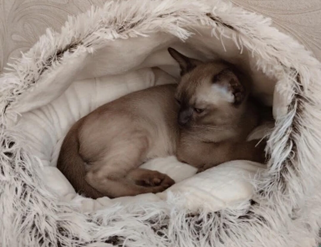 Cat Bed Pillow Cat Kennel Plush Cat Bed Fluffy Pet Bed Etsy