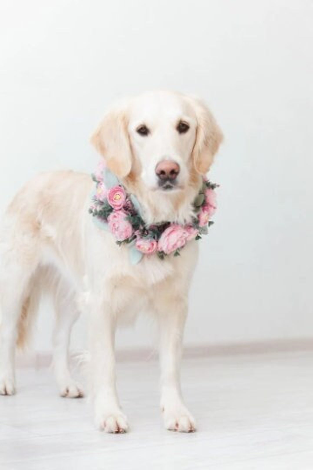 Custom Wedding Flower Dog Collar Wreath Personalized Floral Etsy