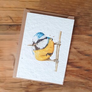 Mésange bleue | Carte en papier pour graines à planter | Toute occasion | Recyclé | Sans plastique | Respectueux de l'environnement et biodégradable | Minimaliste | Fait main.