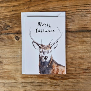 Biglietto di auguri / Addio al celibato / Natale / Buone feste / Riciclato / Ecologico / Natura.