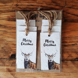 Etiquettes cadeaux | Cerf | Paquet de 6 | Papier semences| Nature | Joyeux Noël | Ficelle de jute | Sans plastique | Respectueux de l'environnement et biodégradable | Variantes.