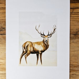 Stag Watercolour | Stag in a meadow | Framed print | Nature Print | Calming | Woodland art | Stag art | Eco-friendly print.