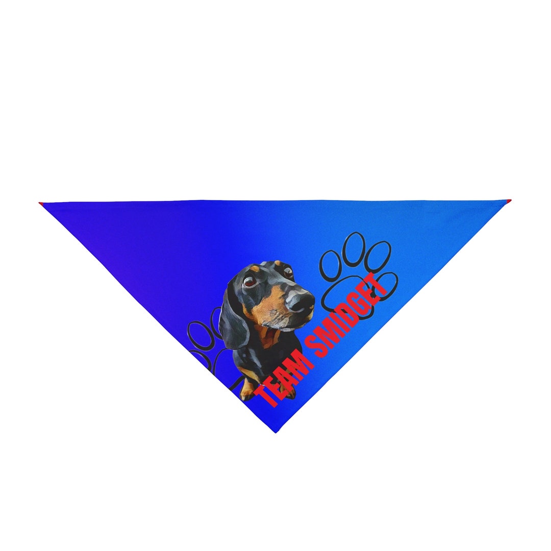 Custom Pet Bandana Etsy