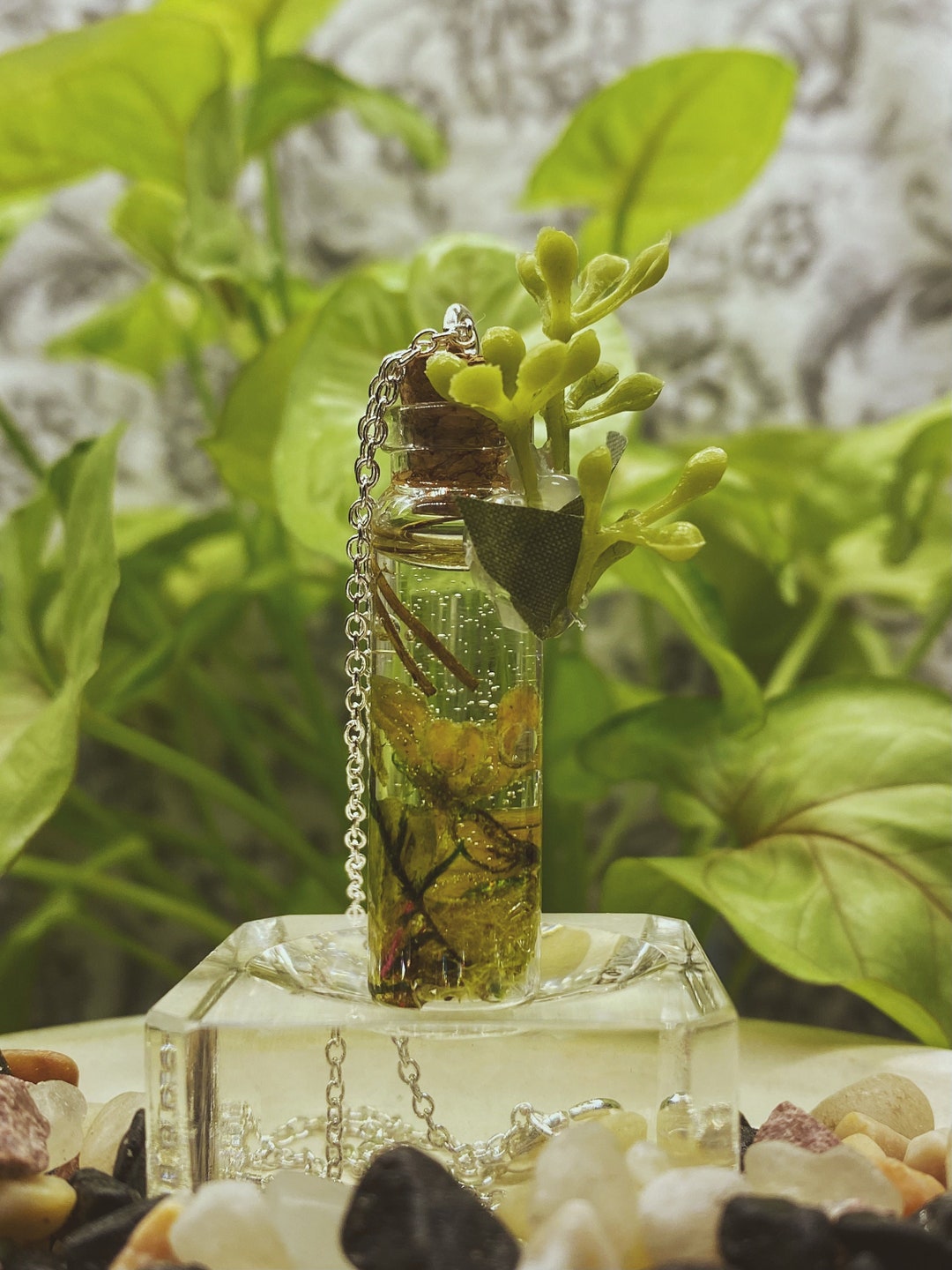 Miniature Terrarium Resin Necklace Plant Forestcore Decor Goblincore Decor Terrarium Jar Etsy