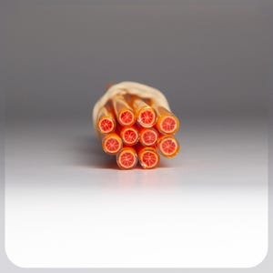 Orange Citrus in Canes Murrini Coe 104 for Lampworking 6 cm long