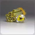 Yellow Flower with Black Center Canes Murrine Coe 104 for Lampworking 6 cm long product logo