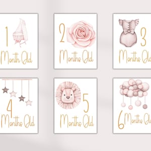 Meilenstein Karten Erstes Jahr Mädchen Meilenstein Baby Mädchen Geschenk Baby-Dusche neue Mutter neues Baby Boho Aquarell druckbare neutrale Kinderzimmer Dekor