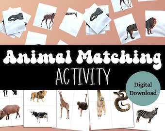 Toddler Matching Activity Montessori printable toddler education printables toddler craft toddler activity printable preschool activity