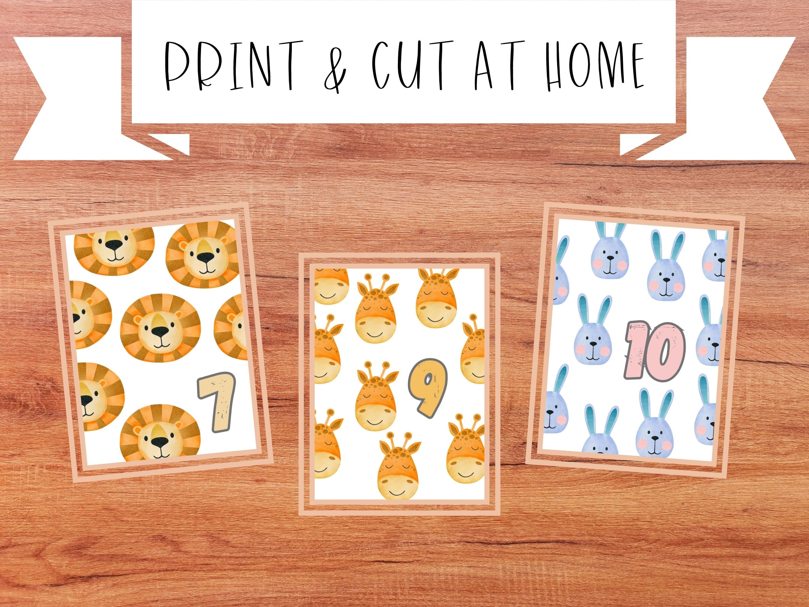 Printable Flash Cards for Toddlers Educational Printables Counting ...