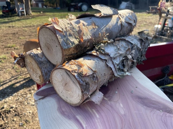Top Quality Birch Logs White Birch Logs for Home Furniture - China Log,  Wood