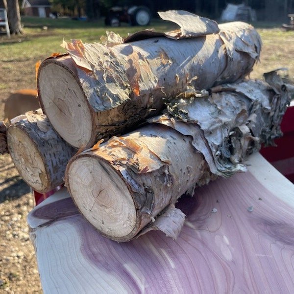All Natural River Birch Logs, Pack of Three