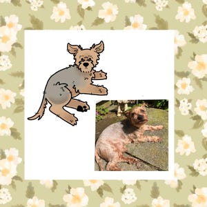 custom pet cartoon illustrations