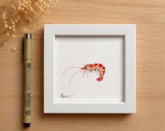 Original Shrimp Watercolor Painting, Miniature Ocean Art, Small Coastal Wall Art, 10x10 cm Original Painting