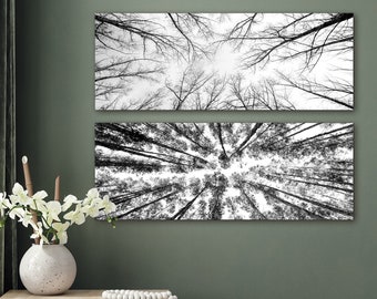 Framed Canvas Wall Art Set of 2 Black and White Forest Tree Landscape Photography Prints Minimalist Modern Art Nature Wall Decor