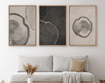 Framed Canvas Wall Art Set Wood Tree Rings Abstract Illustrations Prints Modern Art Minimalist Neutral Boho Decor